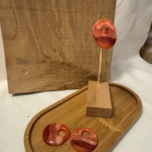 TERRA 1